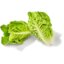 Baby Romaine
