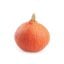 Hokkaido pompoen ingredient icon