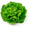 Kropsla ingredient icon