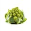 Romanesco ingredient icon