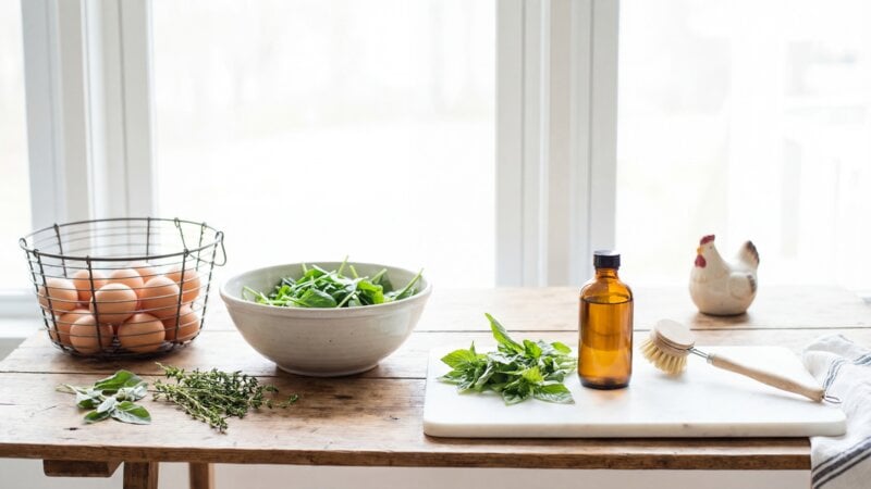 Hoe voorkom je salmonella bij kippen in de achtertuin?