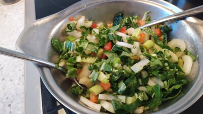 Knapperige gemengde Oosterse paksoi salade