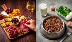 Girl Dinner vs Boy Kibble