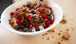 Griekse Yoghurt Lunch