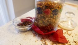 Een Verleidelijke Variatie op mijn Granola