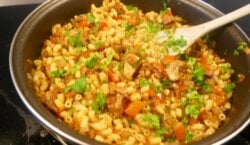 Surinaamse macaroni